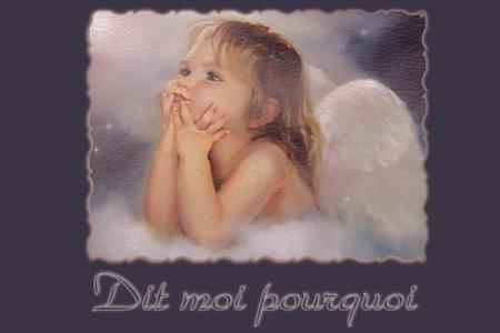  dis moi pourquoi ?